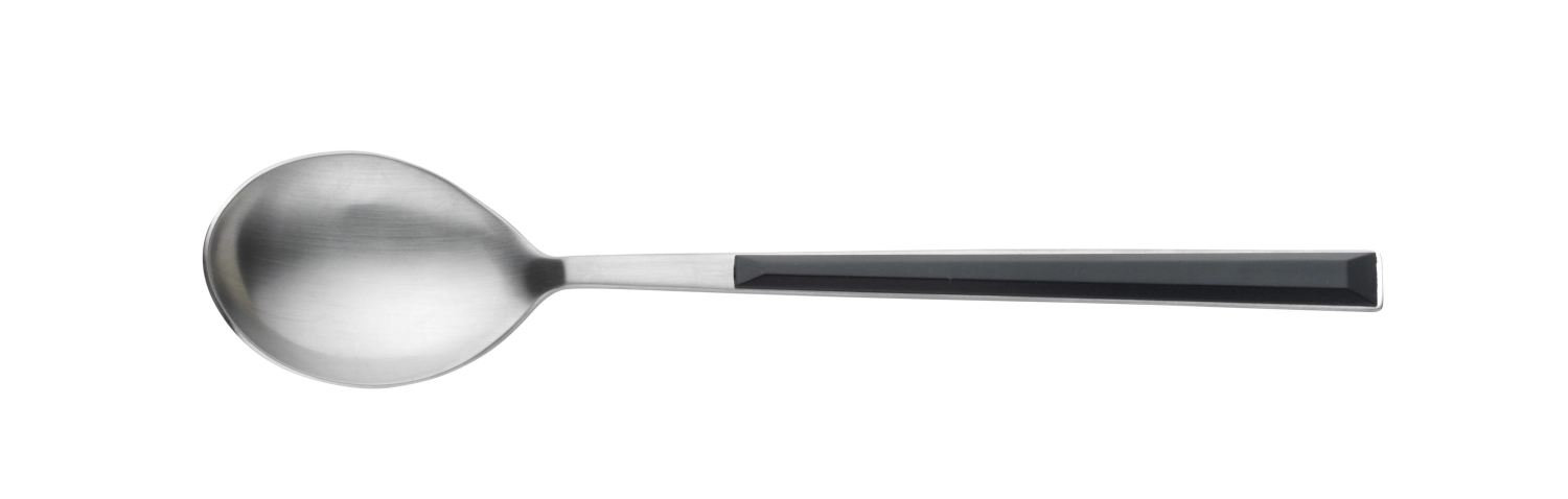 Sushi Pro Kaffeelöffel schwarz 15cm