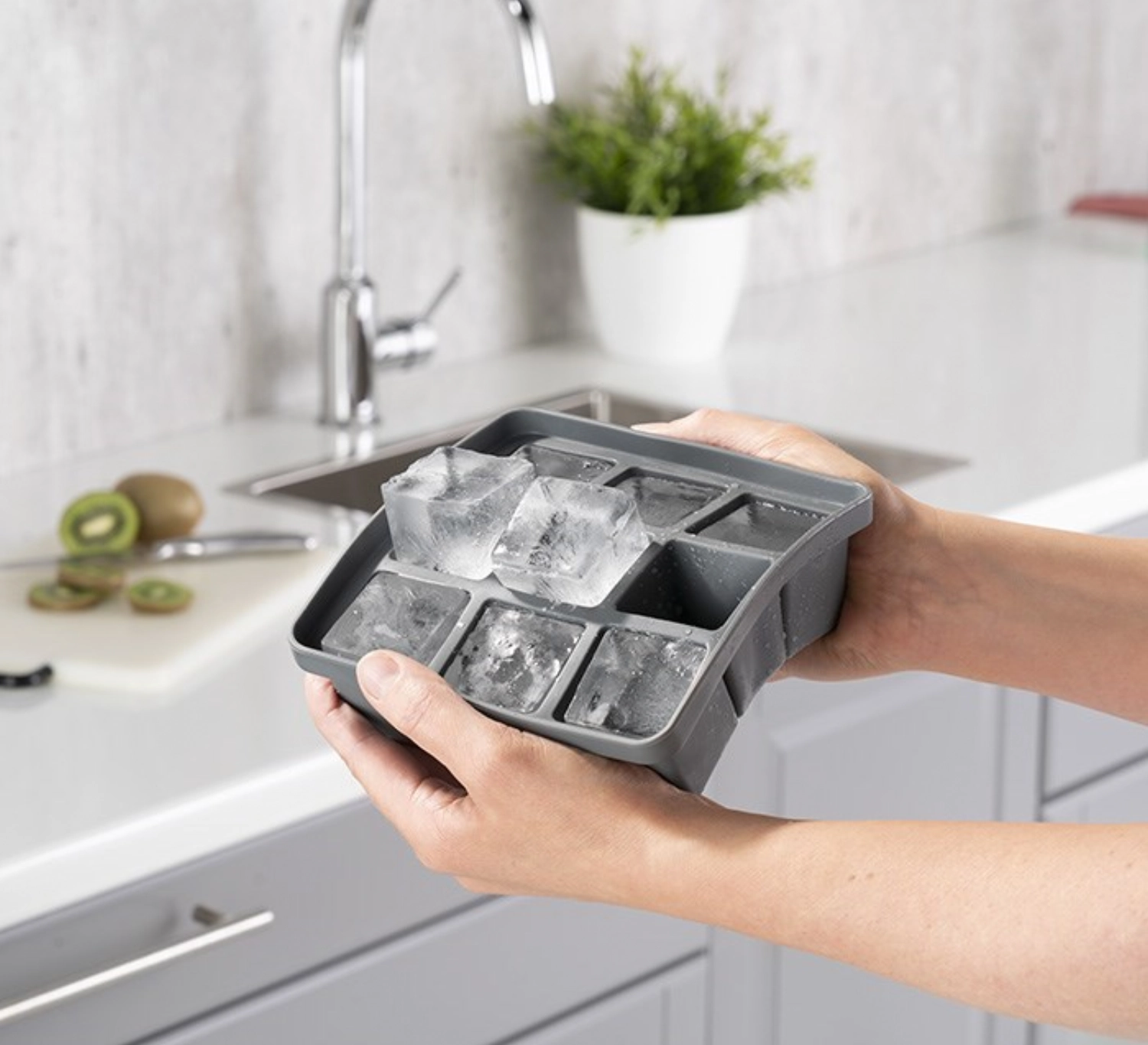 2er Set Eiswürfelform m. Deckel, 15.5x15.5cm, H5.5cm, Siliko