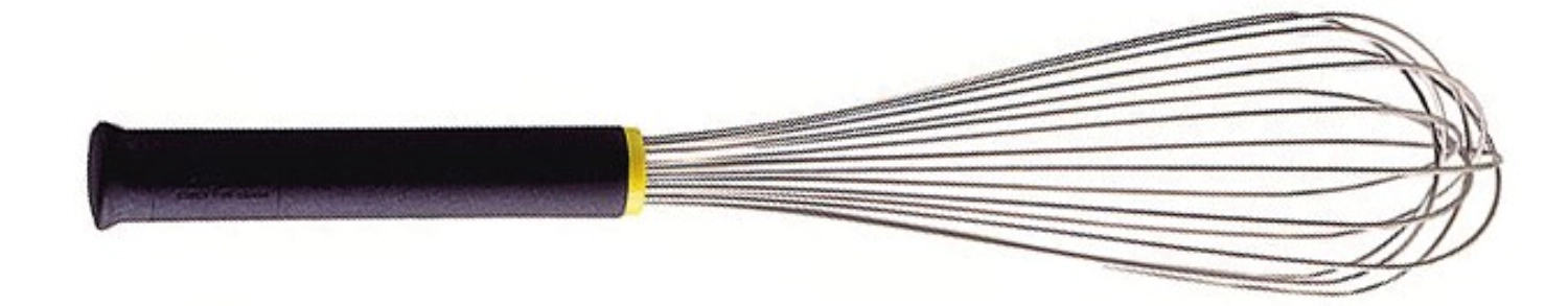 Fouet 30cm avec poignée exoglass