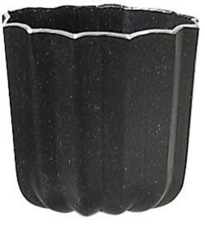 6er Set Cannele Form