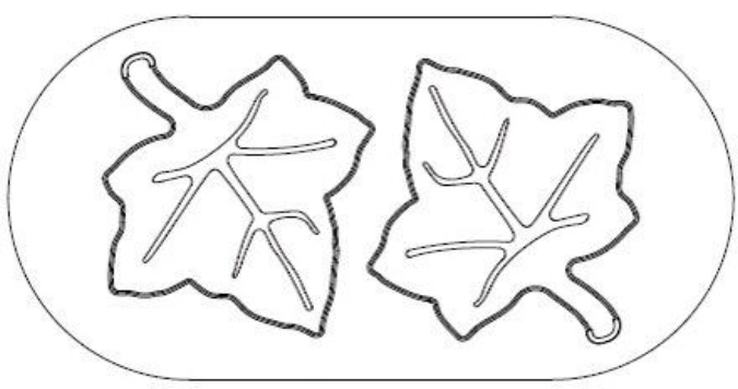 Decoupoir exoglass feuille vig