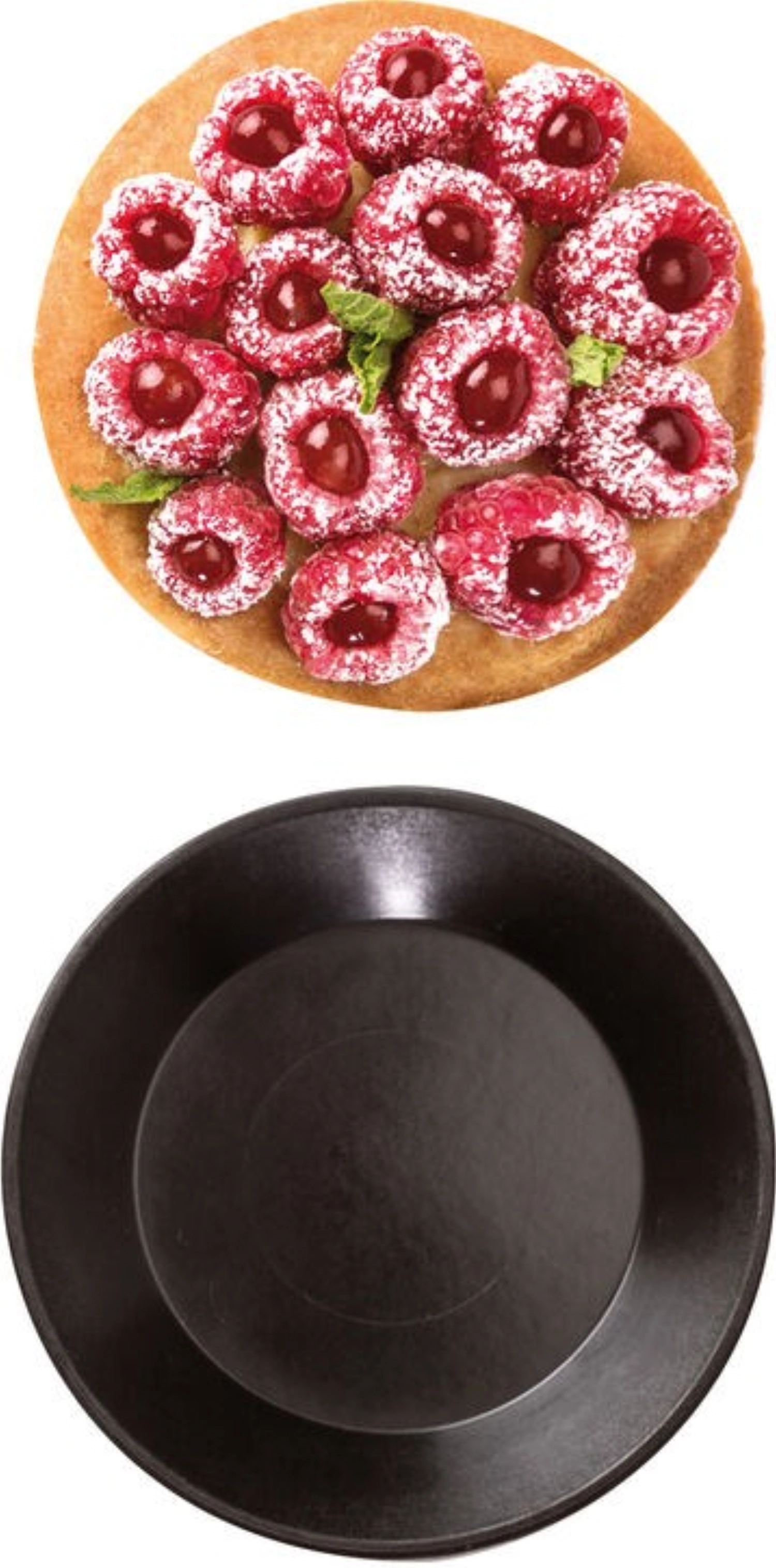 12 R.U Exoglass Tortchen D90
