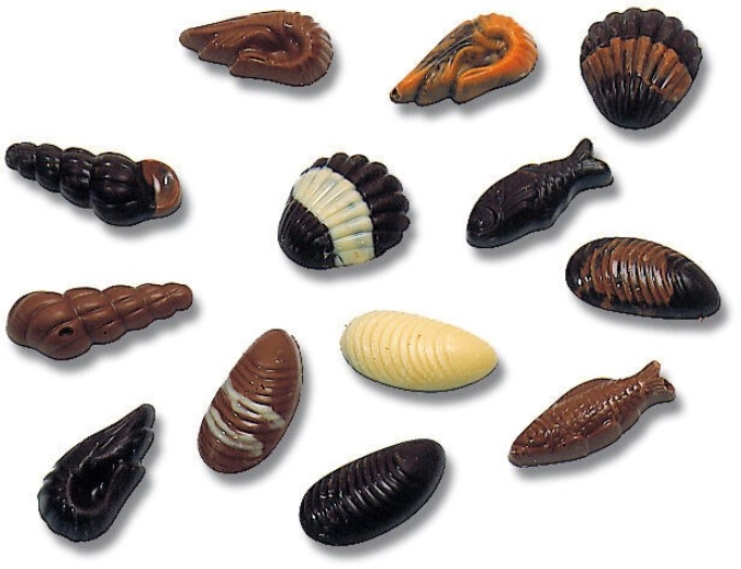 20 Meerestier-Formen
