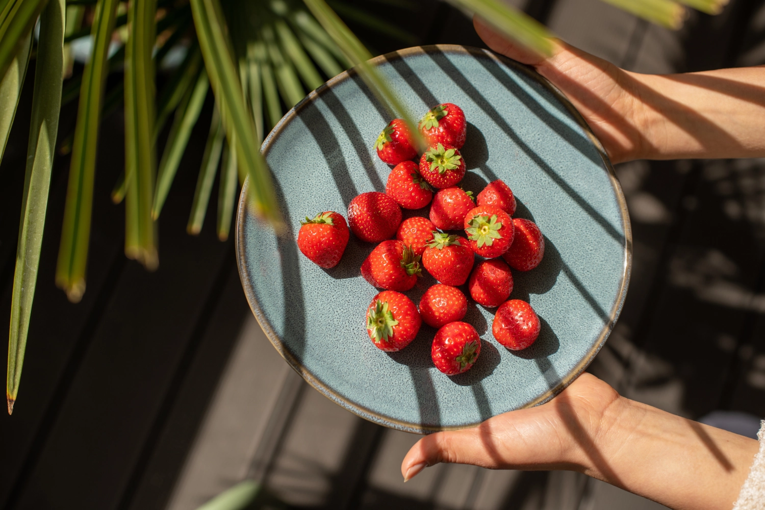 Lave glacé assiette à déjeuner