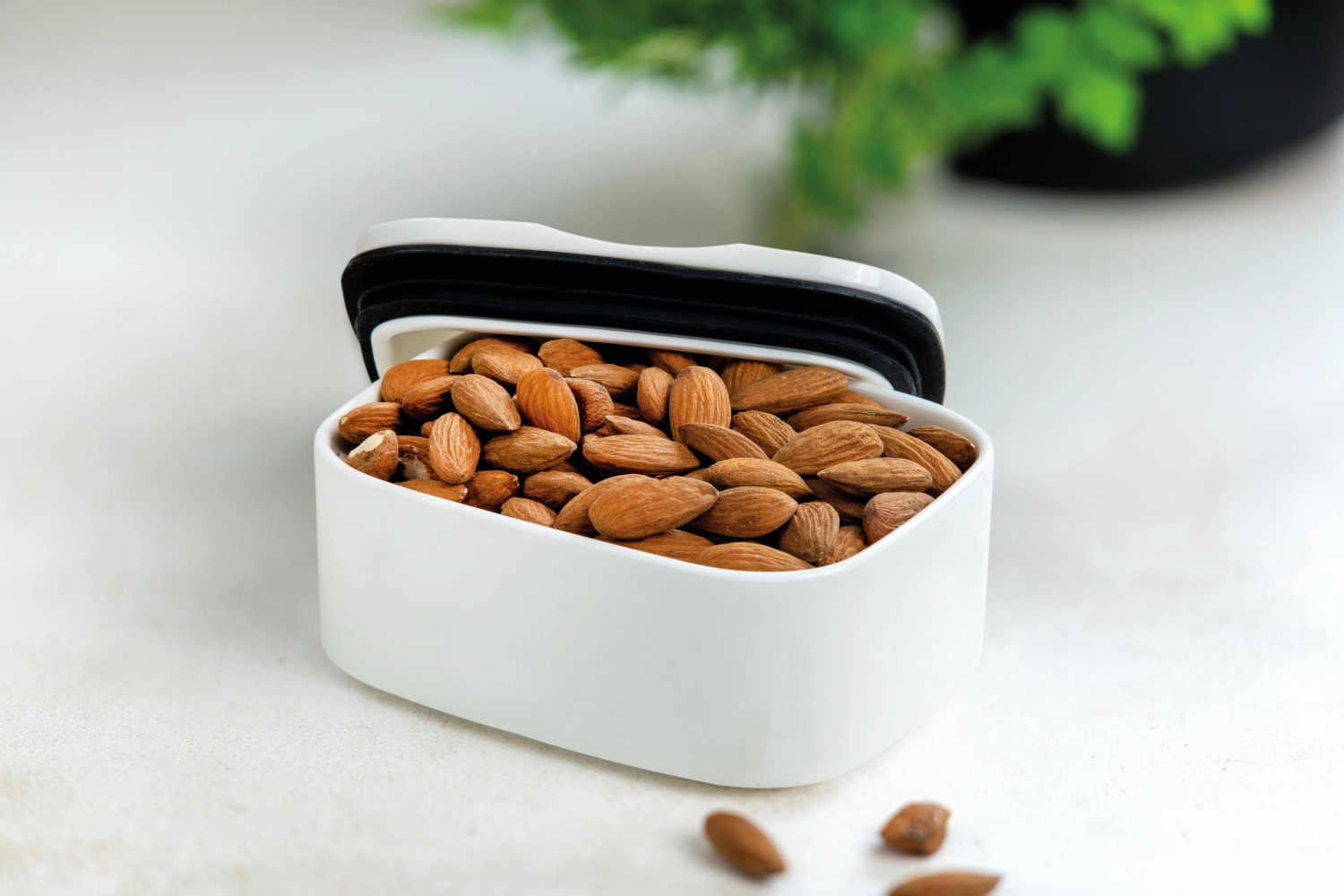 To Go & To Stay Lunchbox S eckig