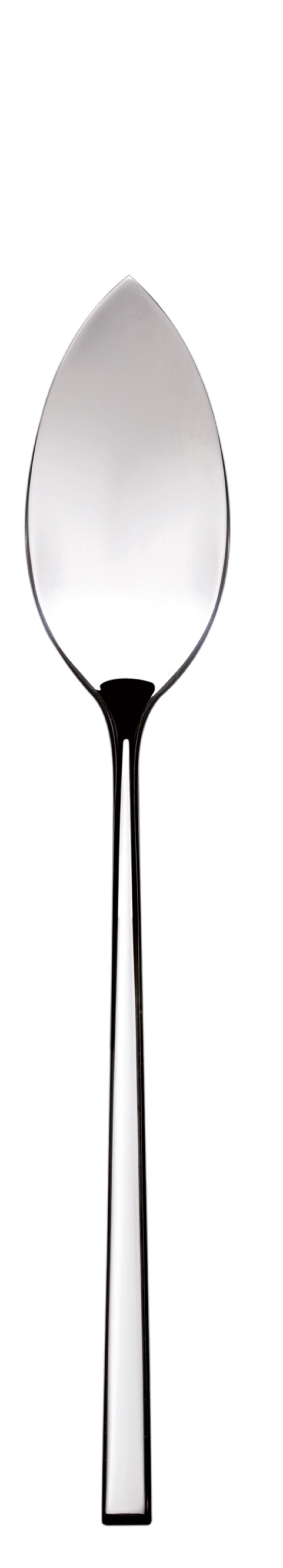 Gualtiero Marchesi Fischmesser versilbert