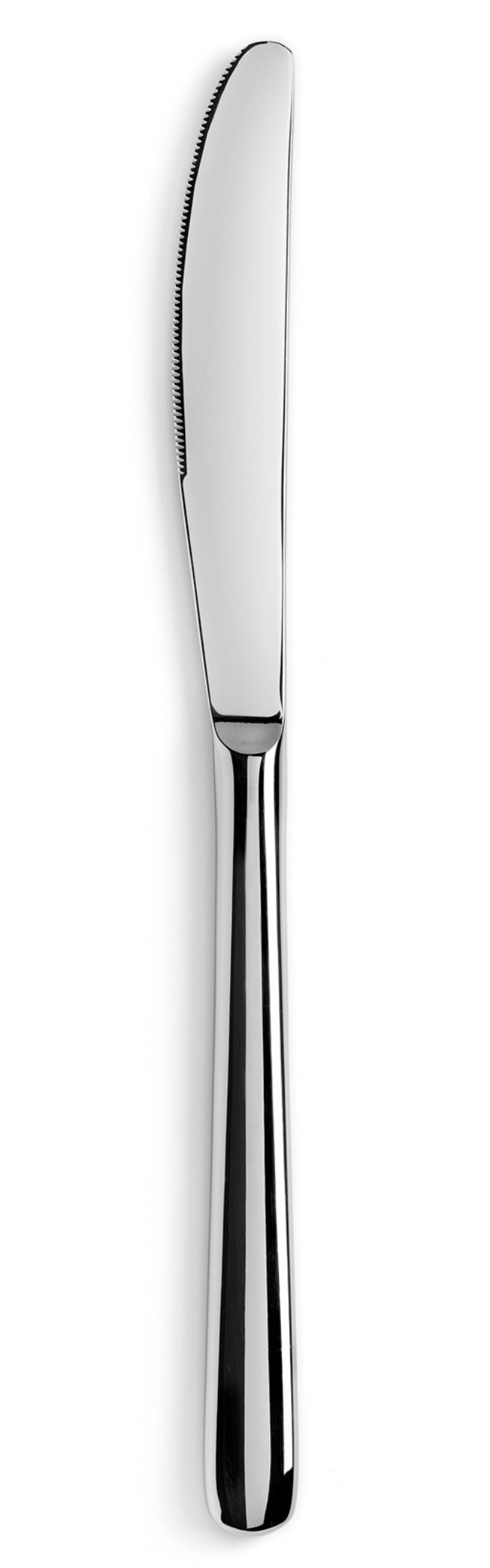 Courchevel Tafelmesser poliert