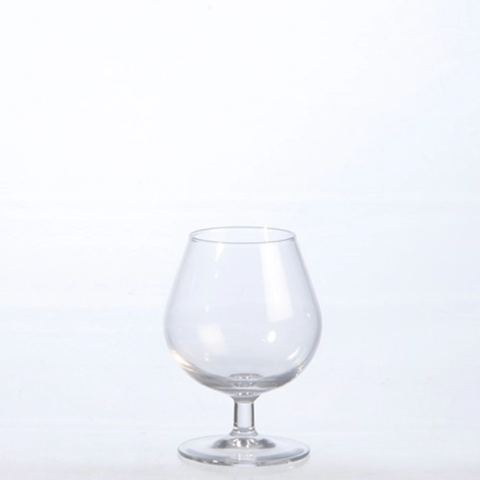 Dégustation 2 Cognac 25cl