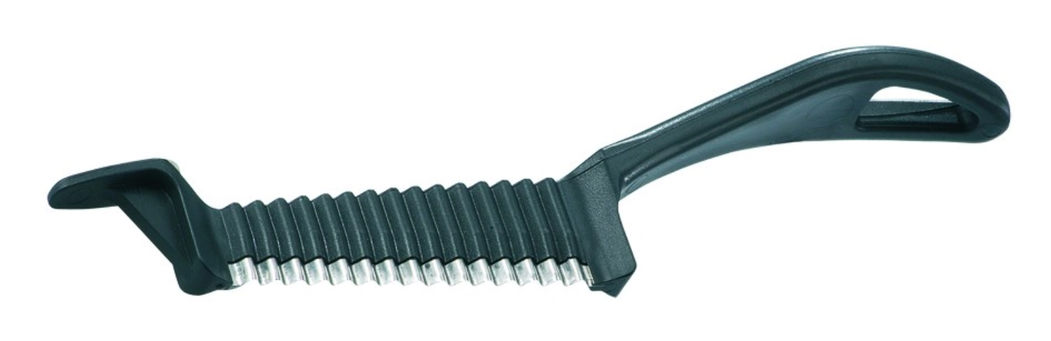 Buntschneider Garnetta