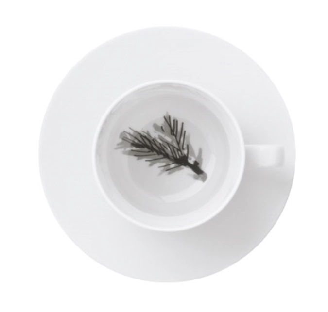 Piqueur Tasse Cappuccino a. soucoupe