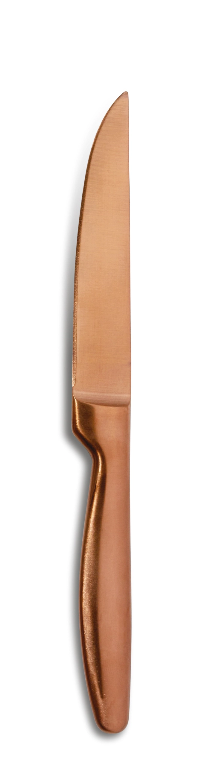Couteau steak boj satin/k6 copper