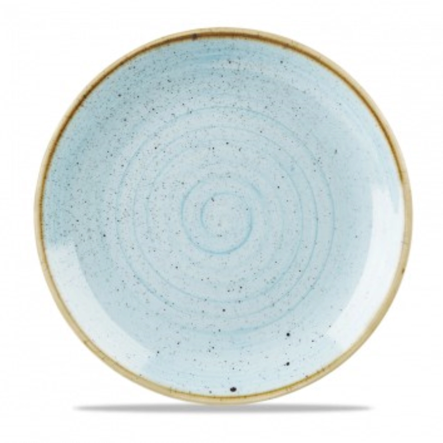 Stonecast duck egg blue coupe assiette plate 21.7cm