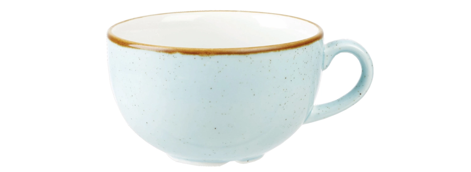 Stonecast Duck Egg Blue Tasse