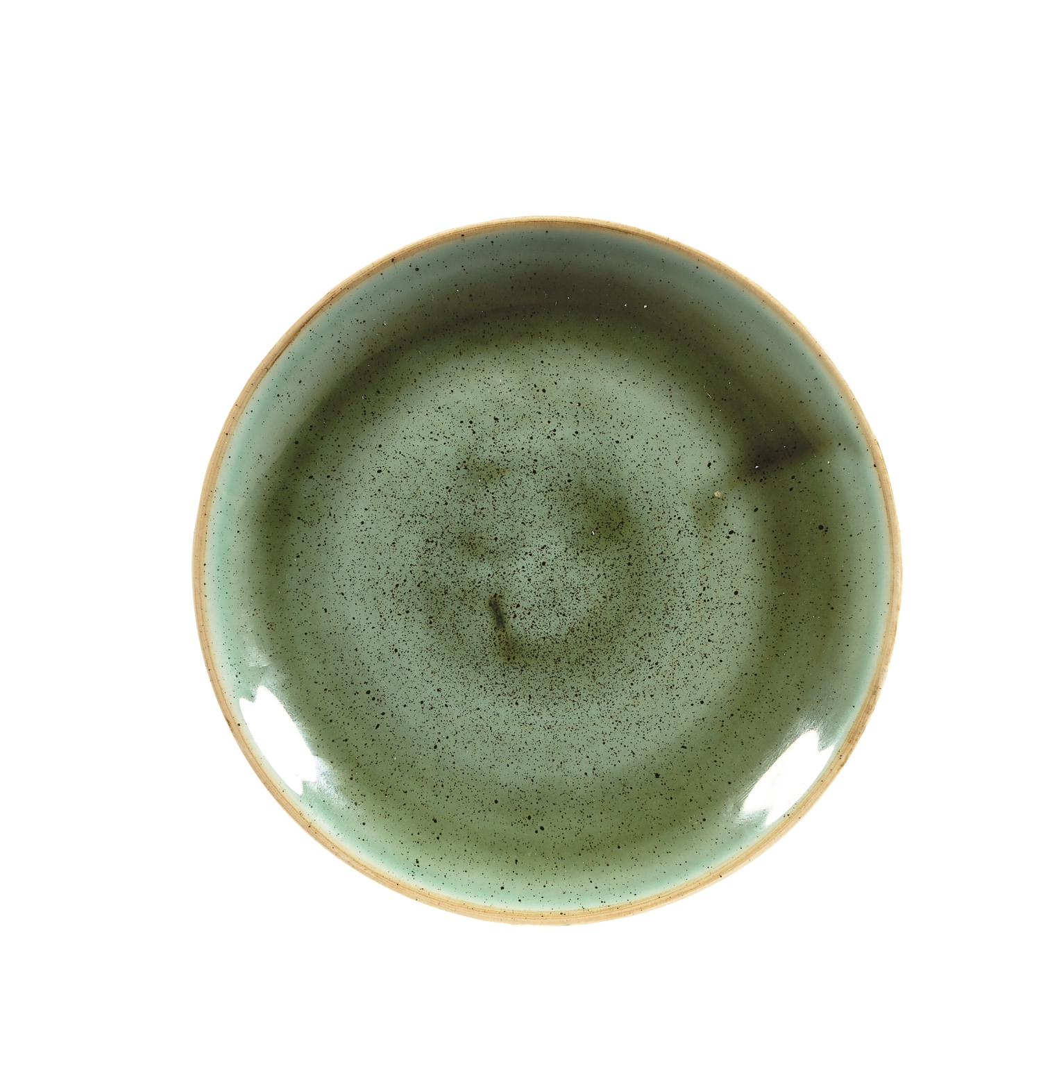 Assiette coupe plate samphire green 16.5cm