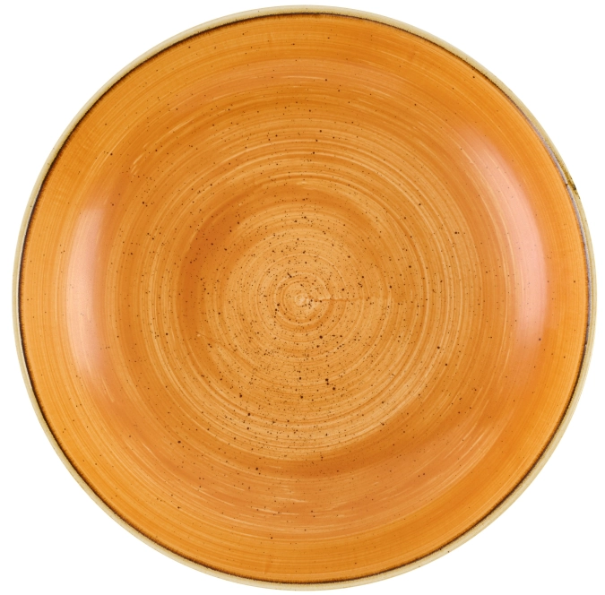 Stonecast Tangerine Coupe Assiette creuse