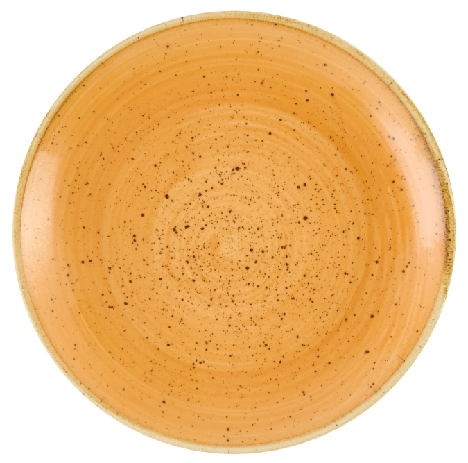 Stonecast Tangerine Coupe Assiette plate