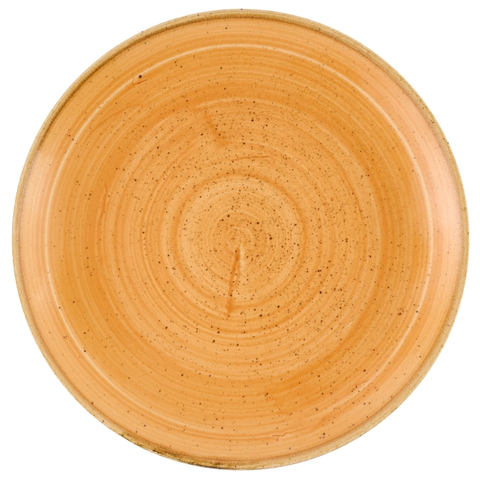 Stonecast Tangerine Coupe Assiette plate