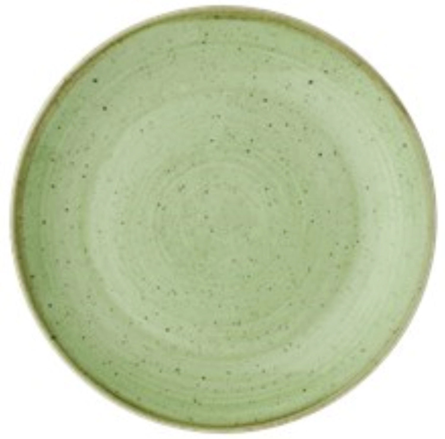 Stonecast Sage Green Coupe Assiette plate