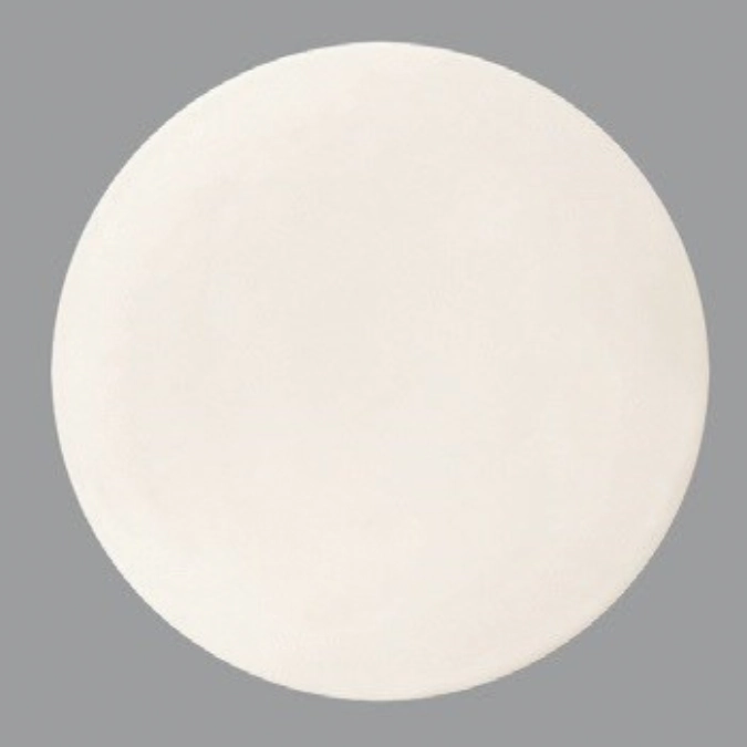 New Bone Gourmet Assiette plate Coupe 16cm