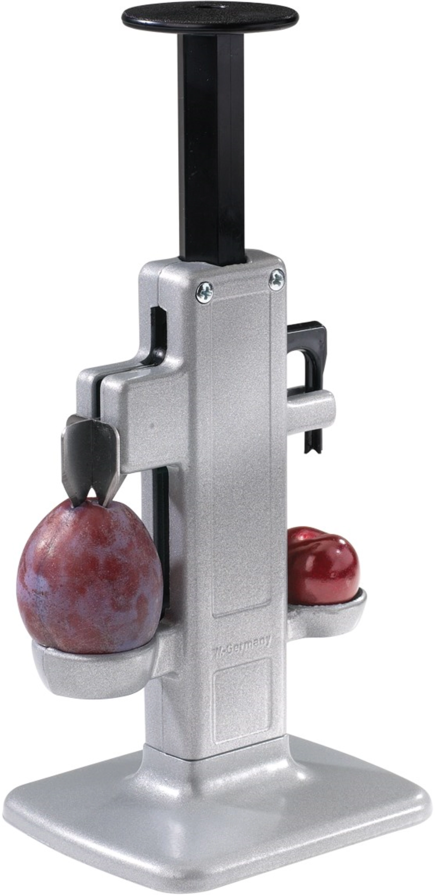 Cerises et pruneaux. steinex-combi, 22.5x10.5x8cm