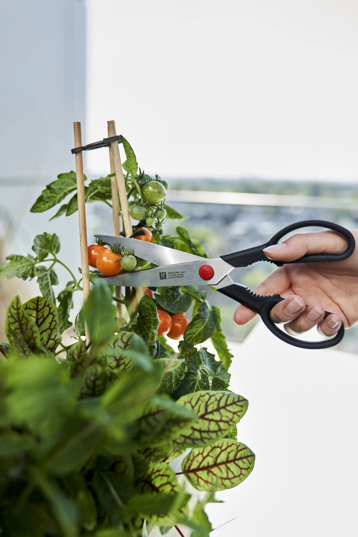 Twin l ciseaux polyvalents, 230mm