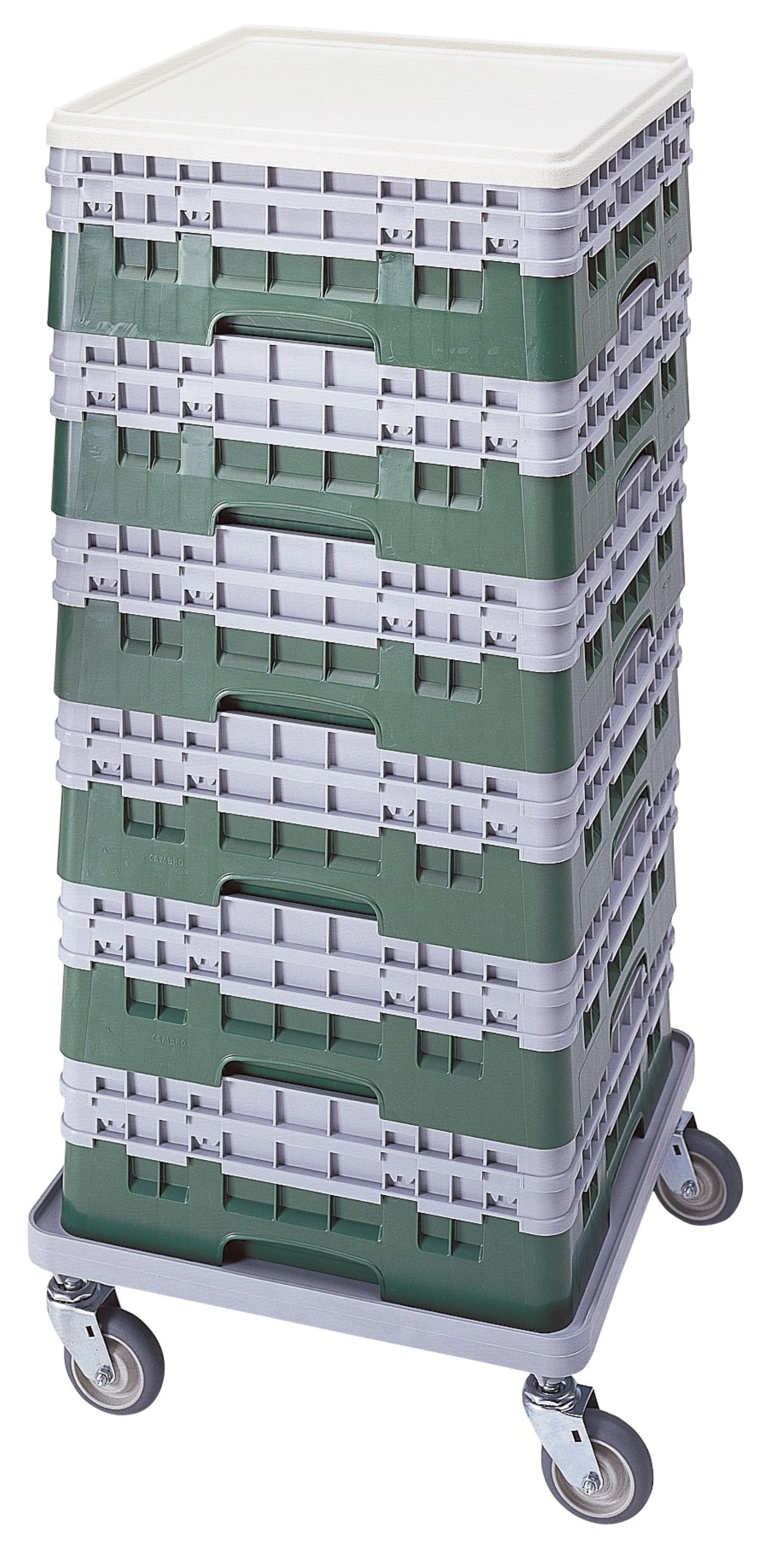 Panier de base Camrack a. 2 extenseurs Vert