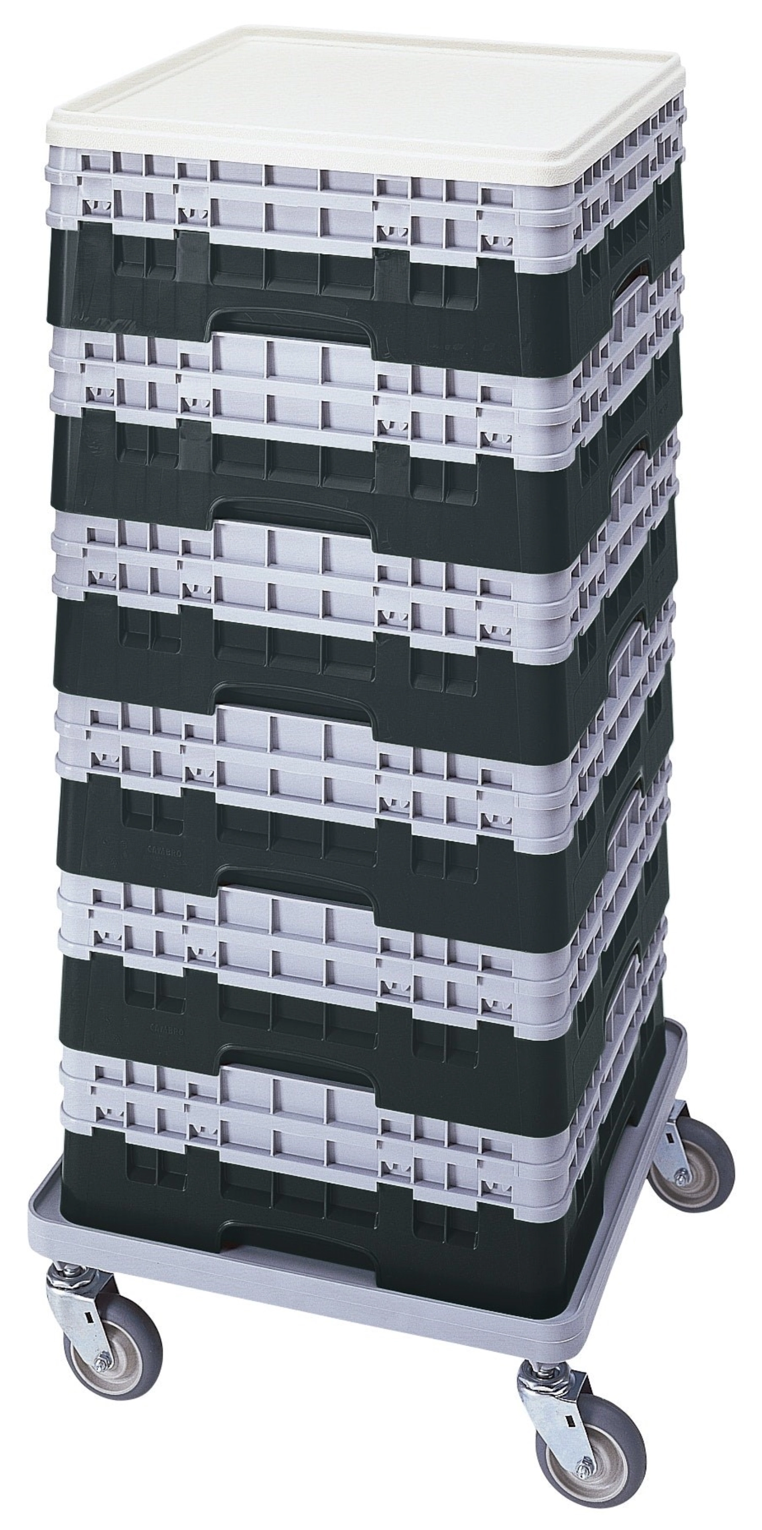 Panier de base Camrack a. 3 extenseurs Noir