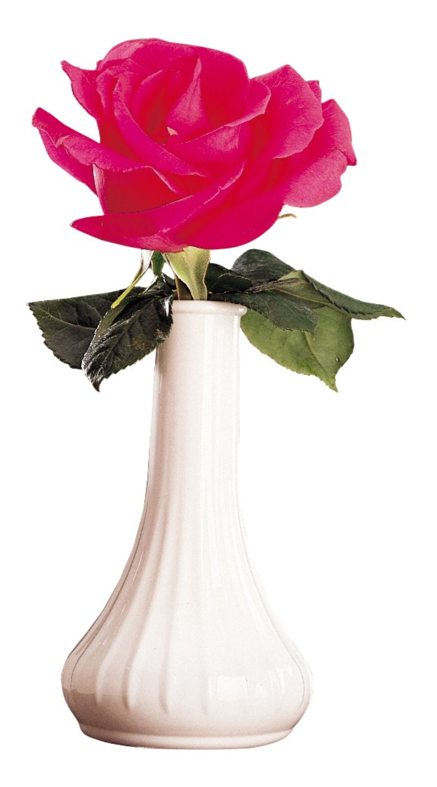 Camwear Vase Blanc
