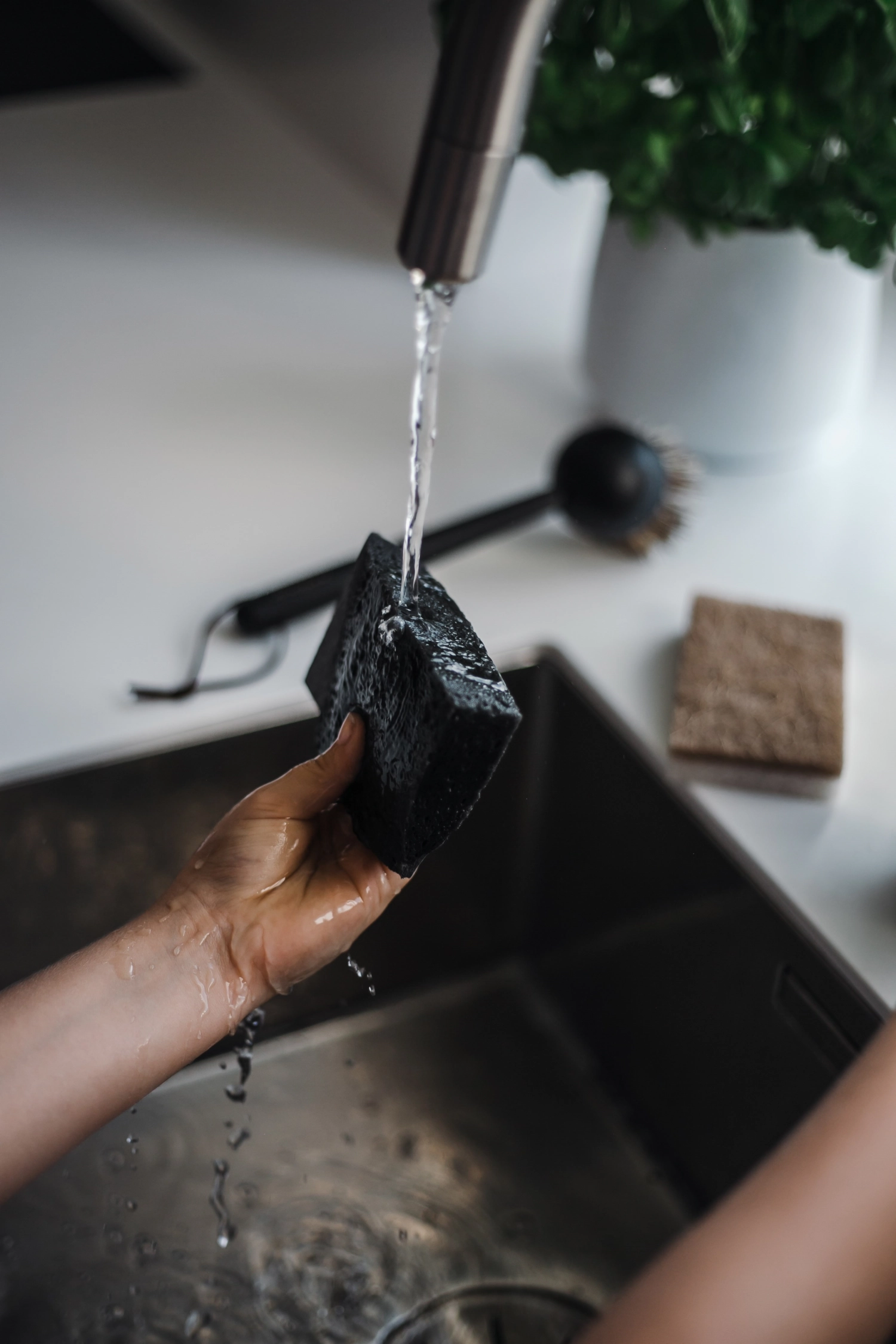 2 pcs éponge pop-up 11x6.5cm h0.6cm