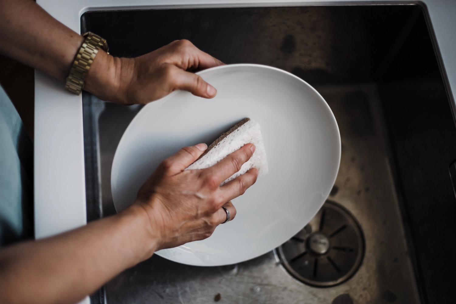 2er Set Kokos-Schwamm