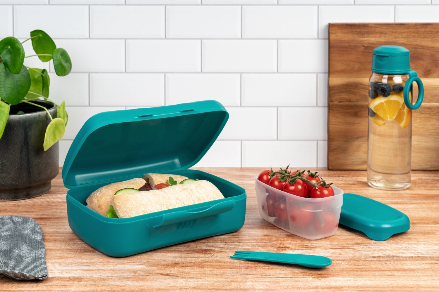 Amuse Basic Brunch Salat Box Göffel