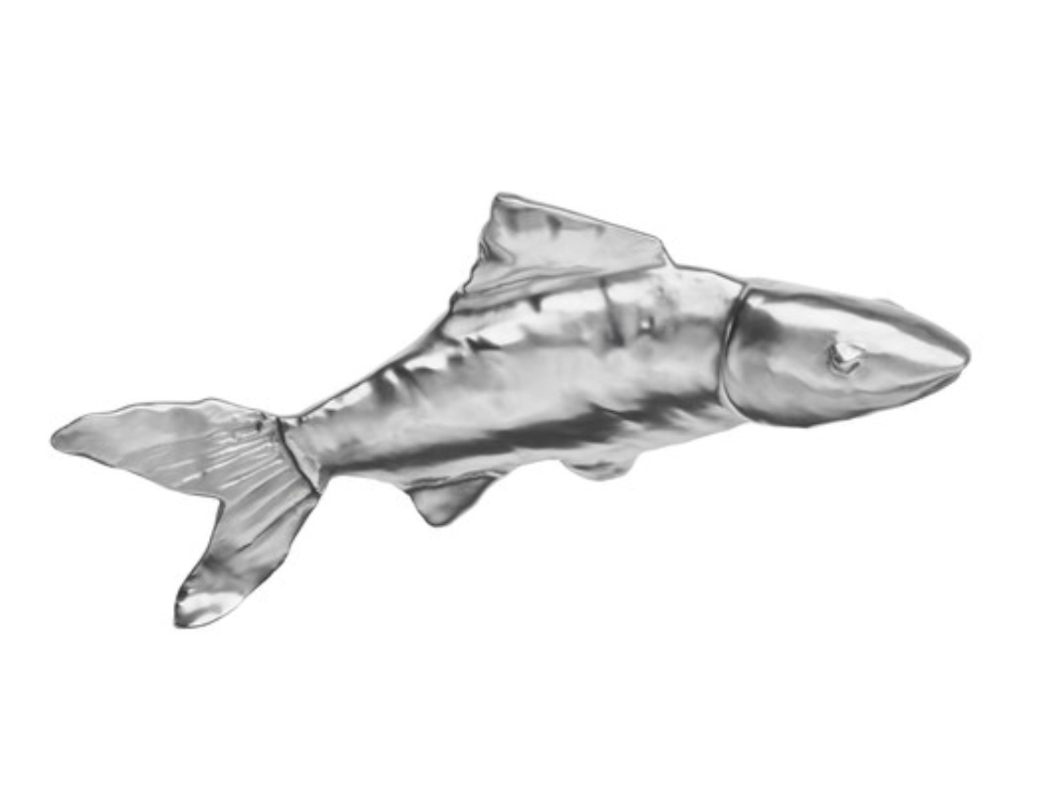 Hareng Polite Silver