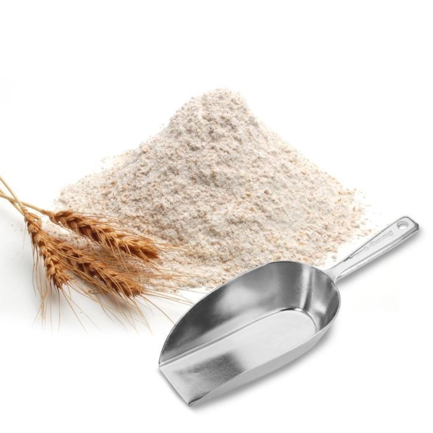 Hygia Haushaltsschaufel