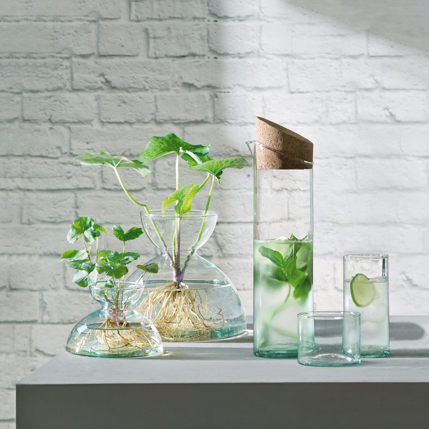 Canopy carafe 1.3l - recy. optique