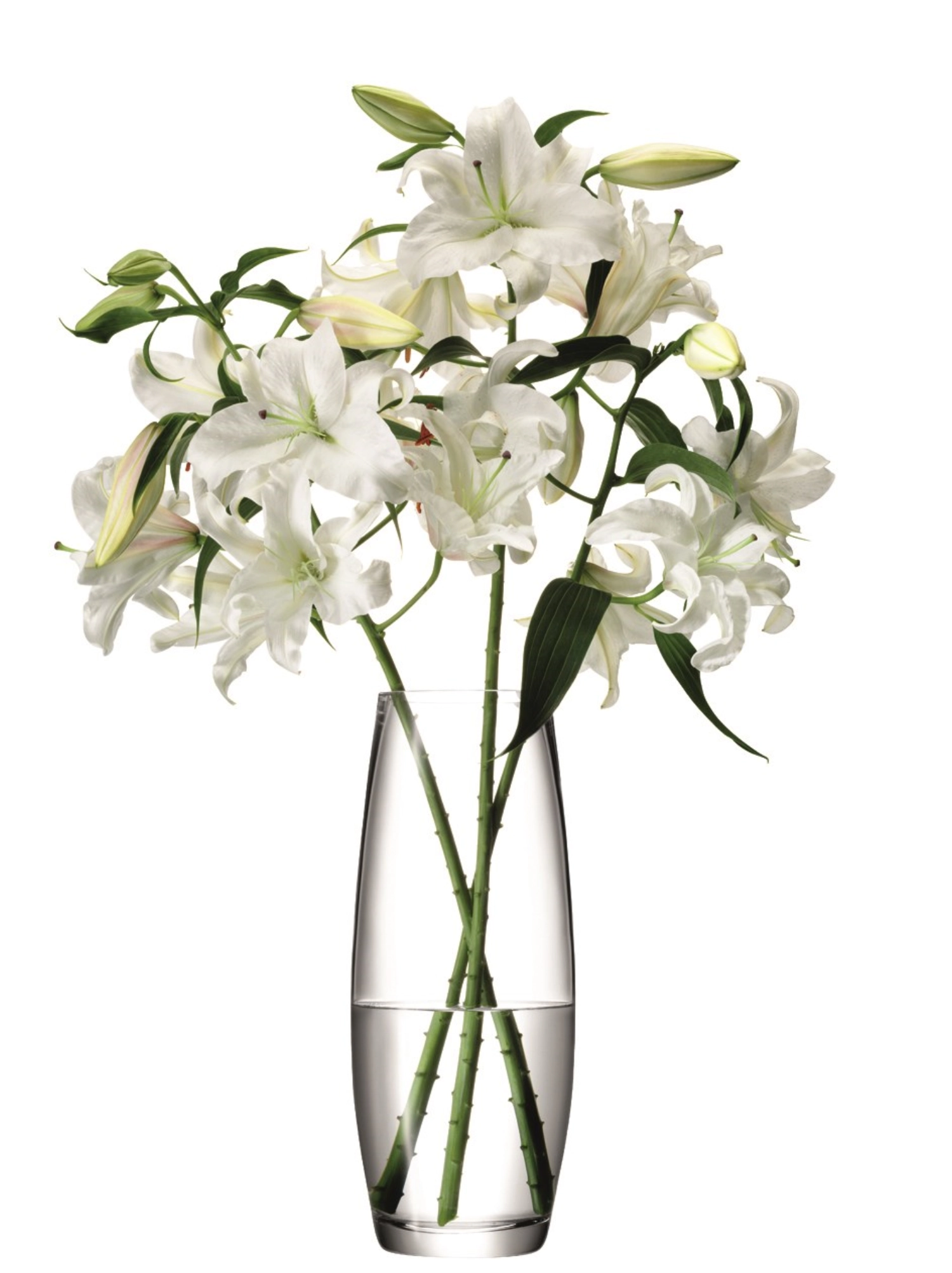 Flower vase pour fleurs longues h41cm - clair