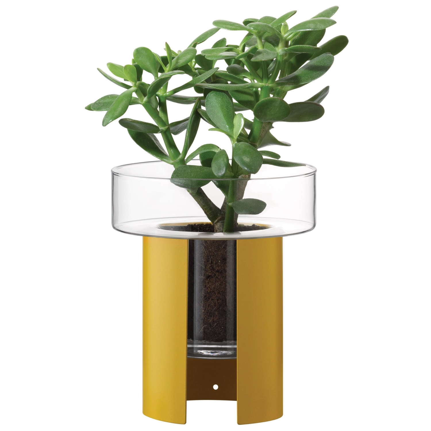 Pot à plantes Terrazza H22 D19 cm clair/jaune moutarde