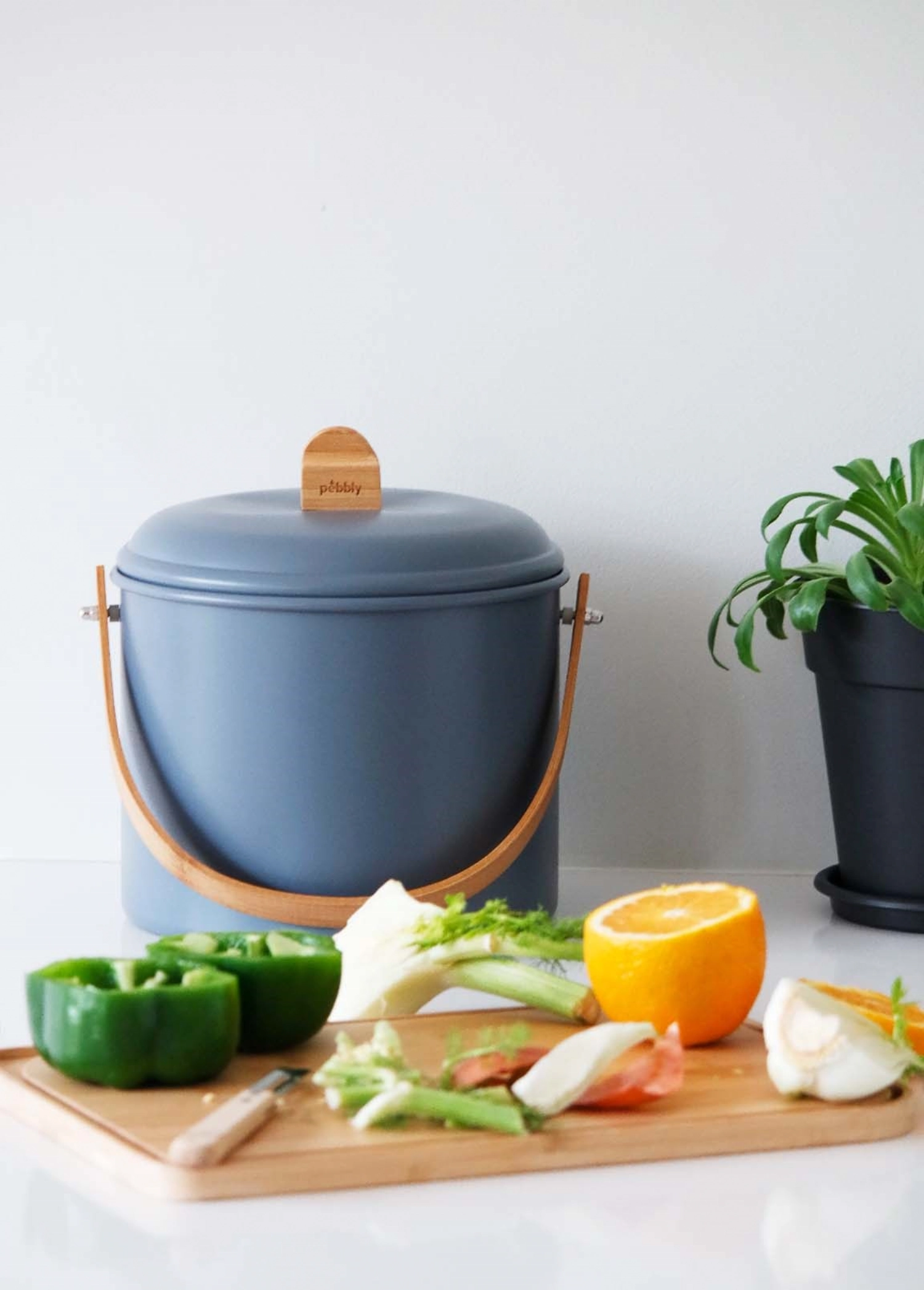 Bac à compost avec filtre à charbon