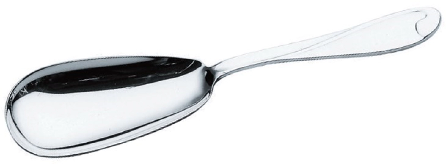 Cuillère à servir polie miroir en boîte