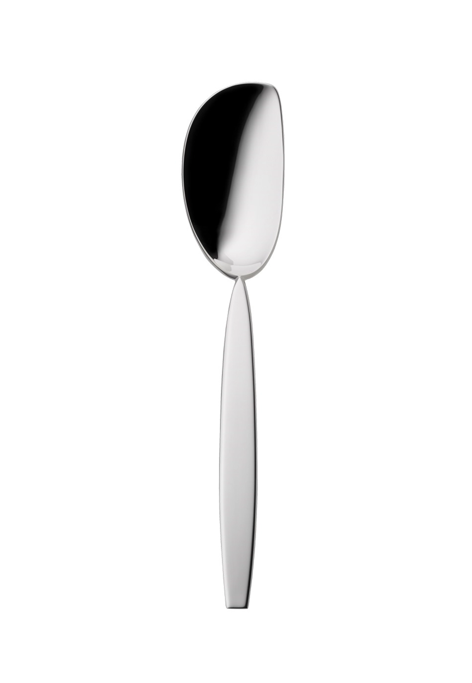 12 » 150 Cuillère Gourmet 19.6x3.8cm