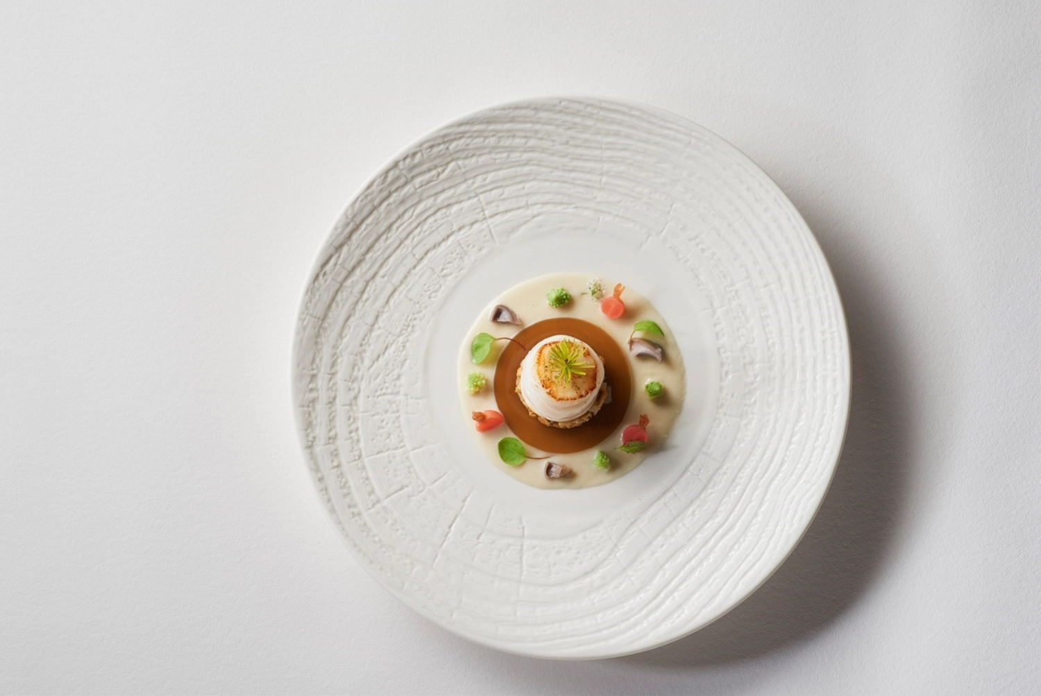 Arborescence assiette 28cm