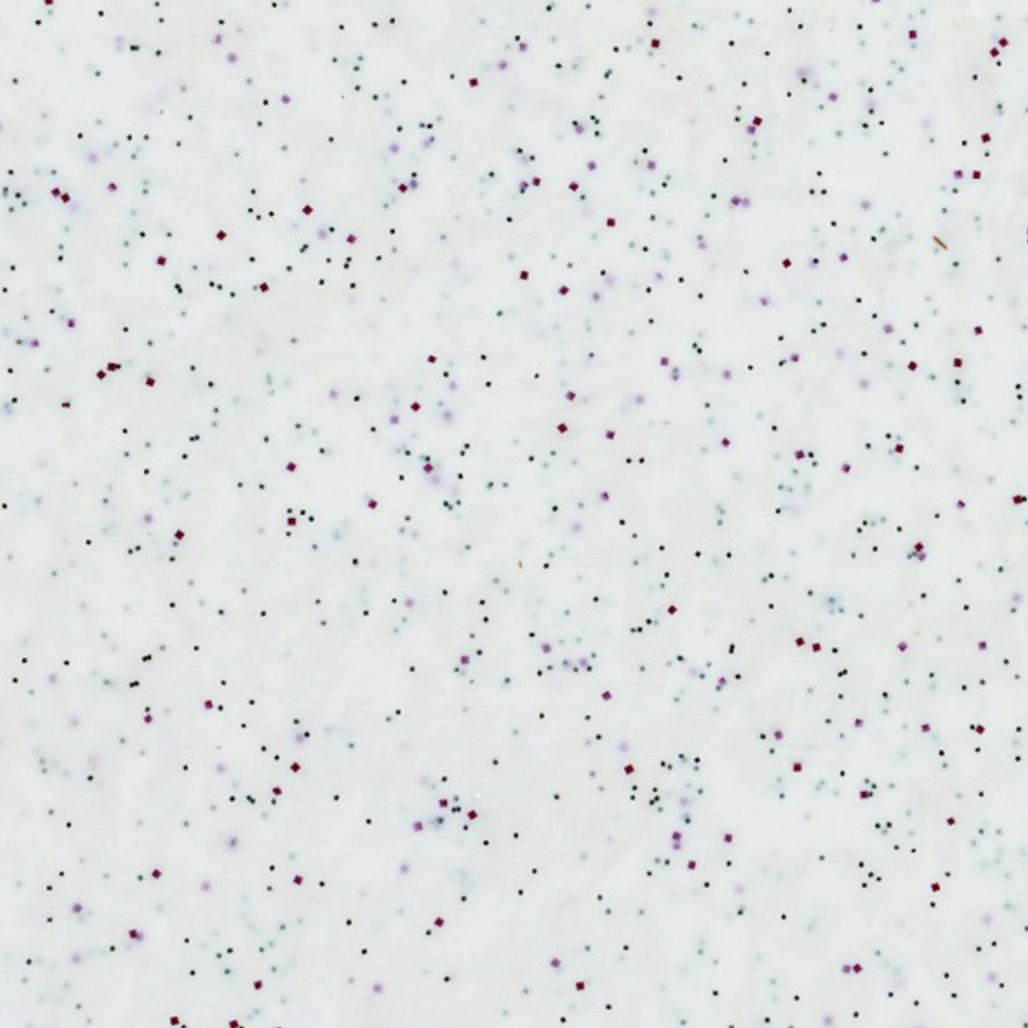 Tablett Euronorm Polyclassic, Weiss 53x37cm