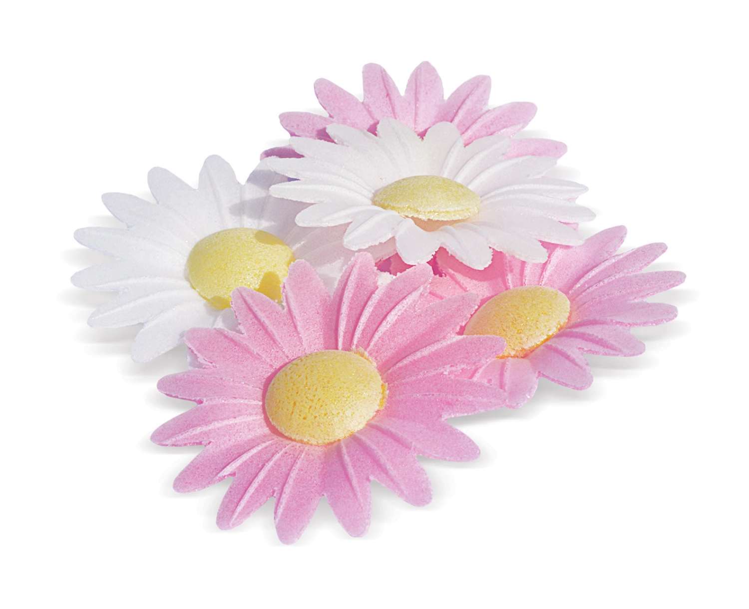 Fleurs azymes 18 marguerites