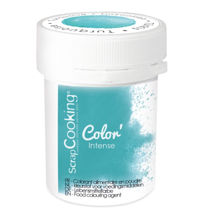 Colorant artificiel en poudre turquoise 5g