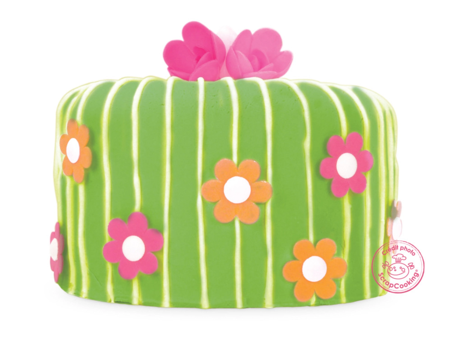 Sachet pas vert prairie 100g