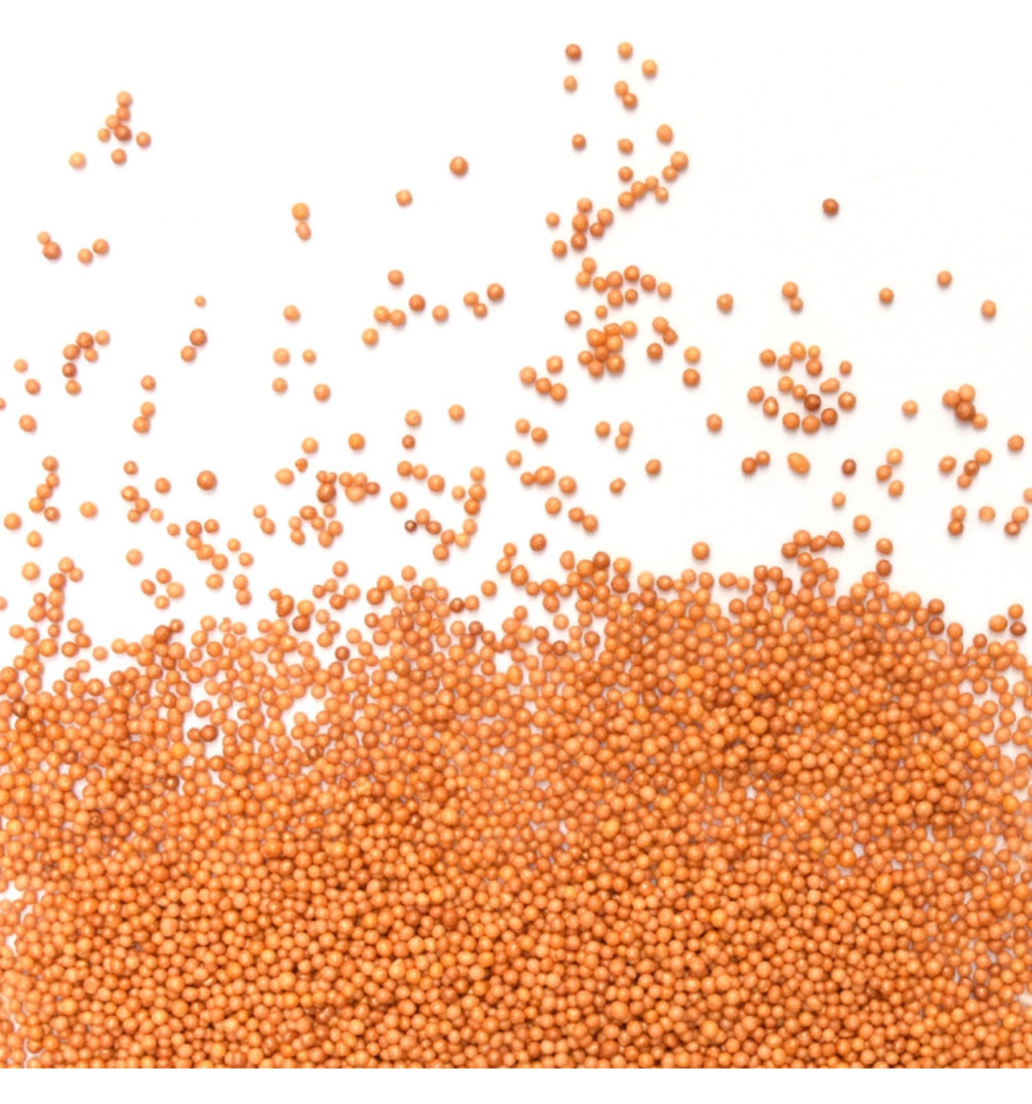 Zuckerstreusel Perlen