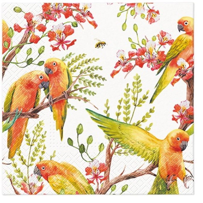 Serviettes de table lunch 20x exotic birds, 33x33 cm