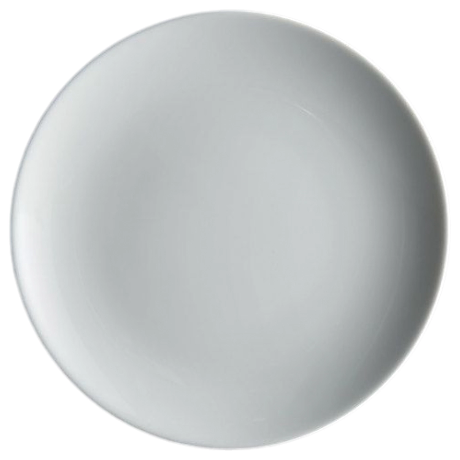 Assiette plate coupe 24cm