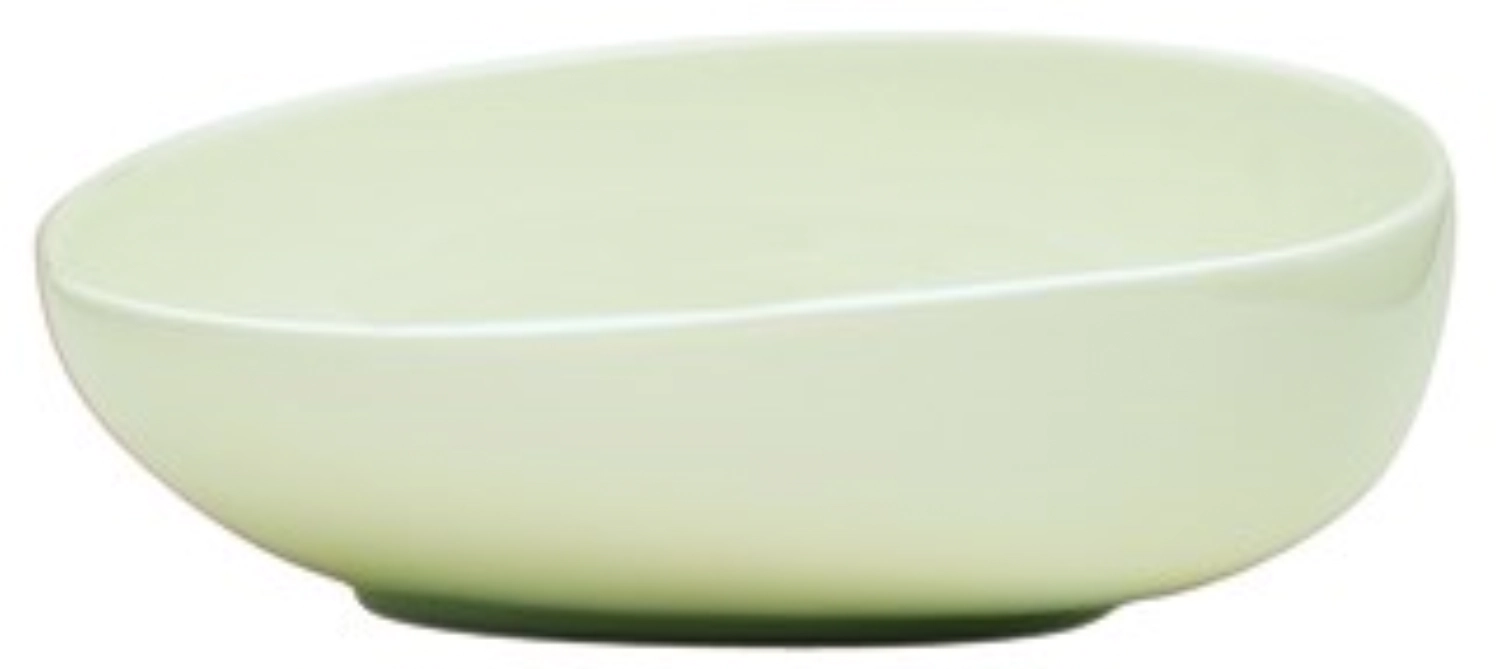 Saladier 17 cm