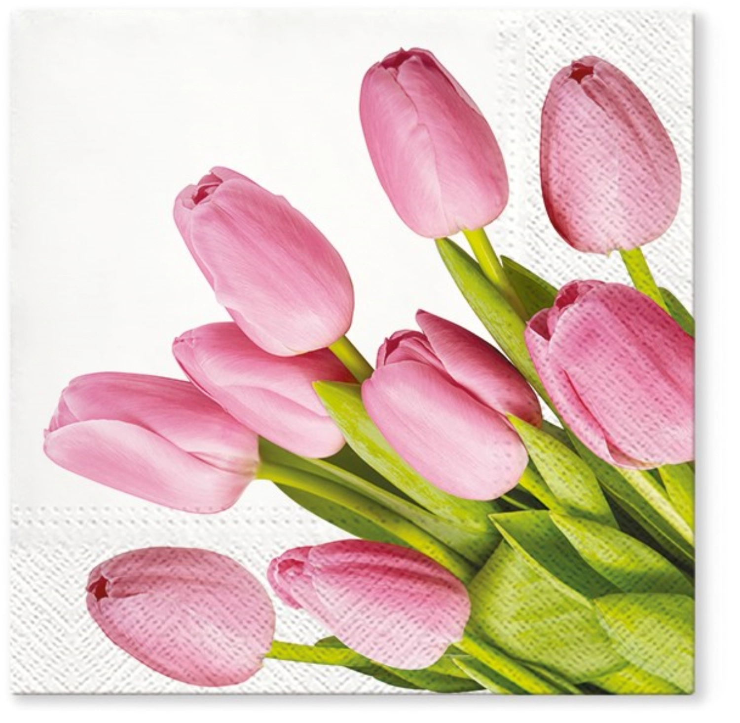 Serviettes lunch 20x tulipes roses, 33x33cm