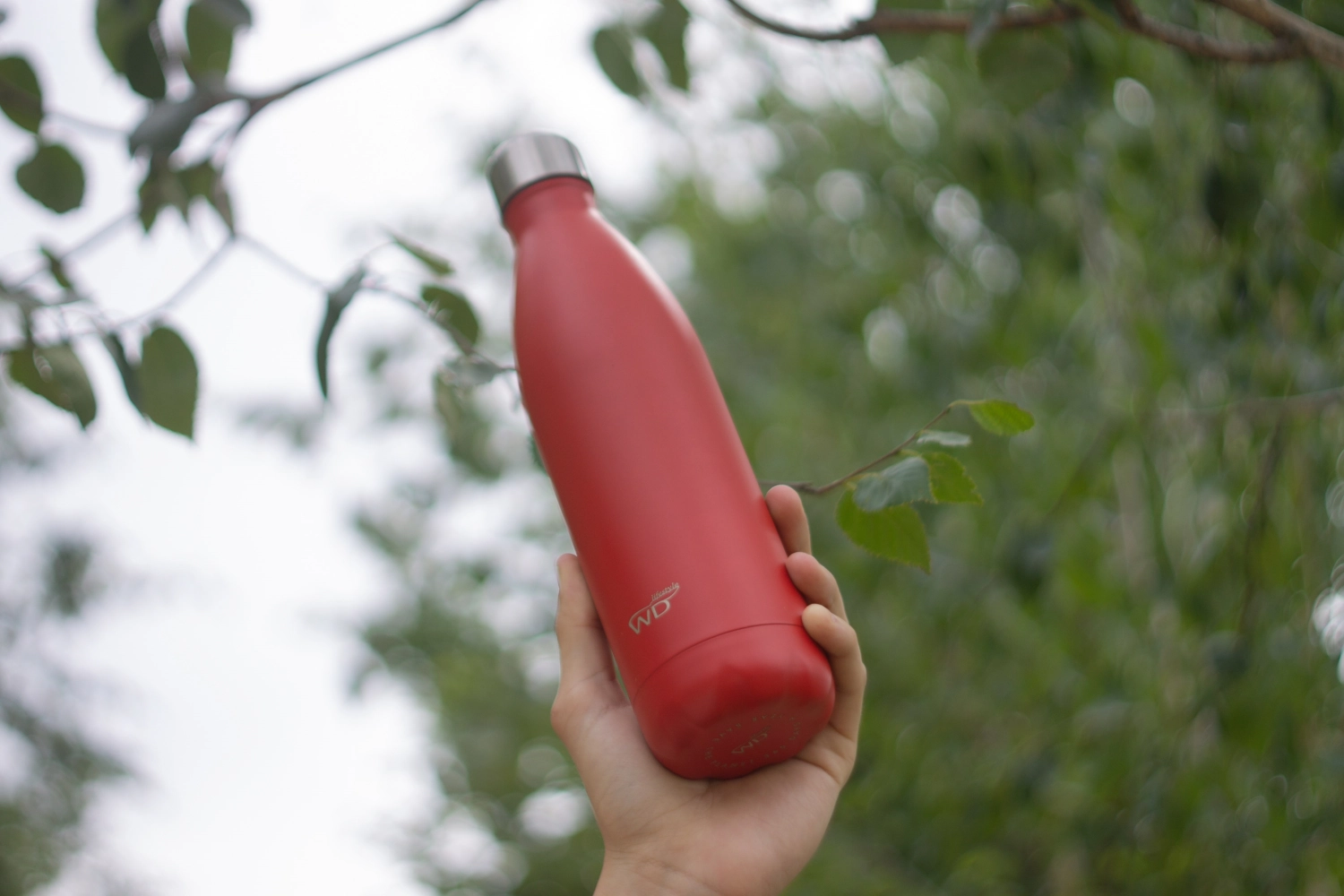 Bouteille isolante